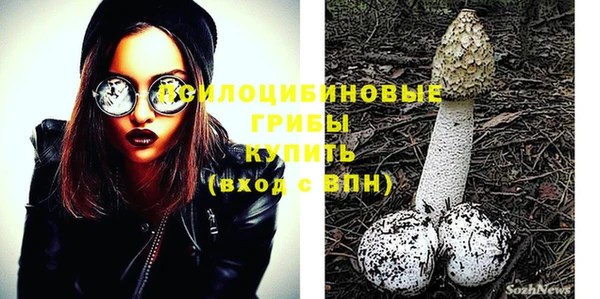 крисы Снежногорск