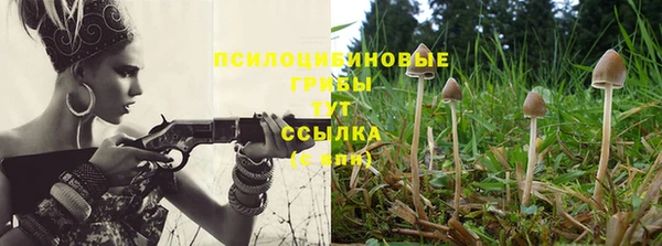 хмурый Слюдянка