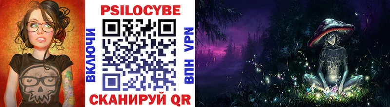 Купить где  Сусуман  Псилоцибиновые грибы Cubensis 